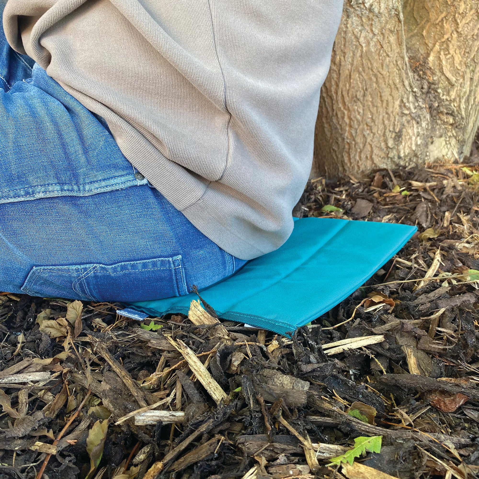 OliveTeal10